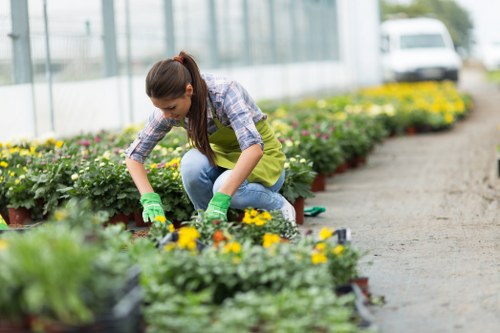 Healthy lawn in Locksbottom with neat grass and seasonal garden care