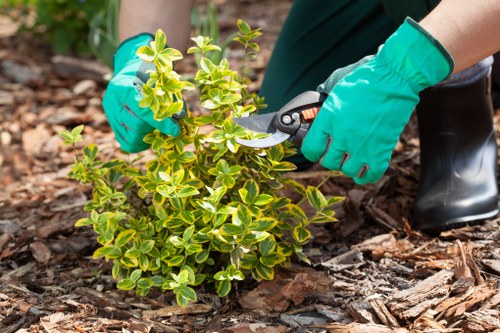 Responsible recycling and sustainability practices for Gardeners Locksbottom