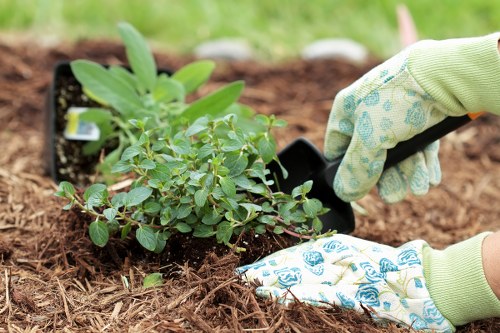 Gardening service team carrying out planned outdoor maintenance