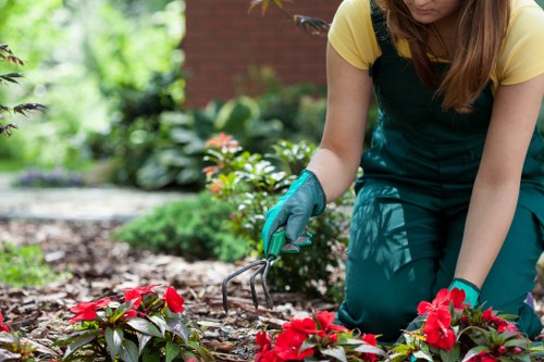 Free garden quote policy for homes in Locks Bottom