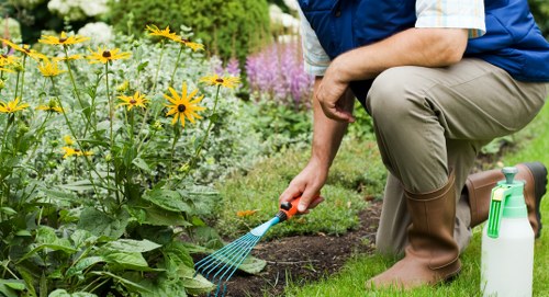 Safe tree removal service in Locksbottom garden
