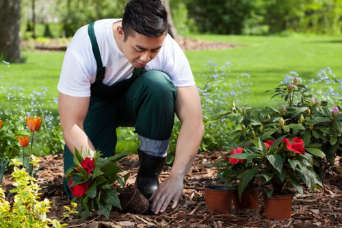 Professional gardener discussing a service booking and quotation