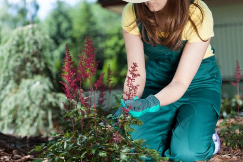 Garden waste being collected for compliant disposal