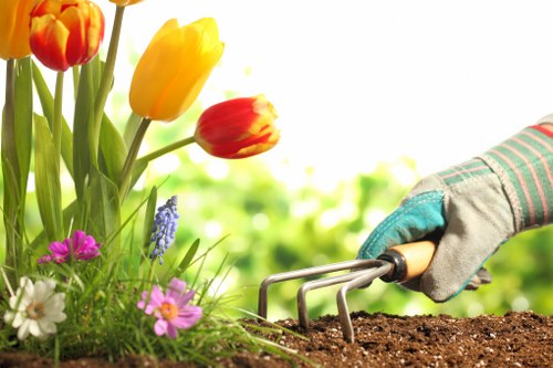 Lawn mowing and maintenance in a Locksbottom residential garden