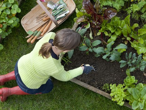 Professional lawn mowing in Locksbottom for a tidy residential garden