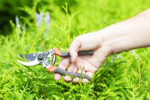 Risk assessment carried out before gardening in Locks Bottom