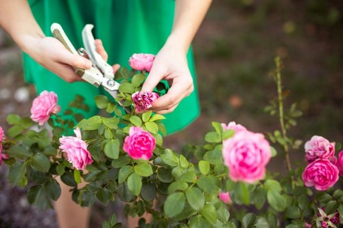 Gardening equipment inspection during routine safety checks