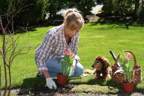 Inclusive browsing and WCAG 2.1 AA commitment for Locks Bottom gardening