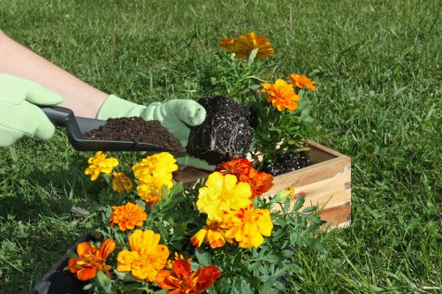 Locks Bottom garden experts focusing on tailored outdoor care