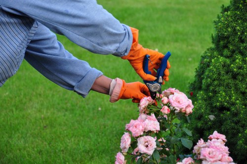 Locks Bottom gardeners assessing site risks