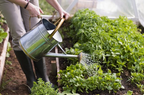 Stylish garden design with shrubs and pathways in Locksbottom