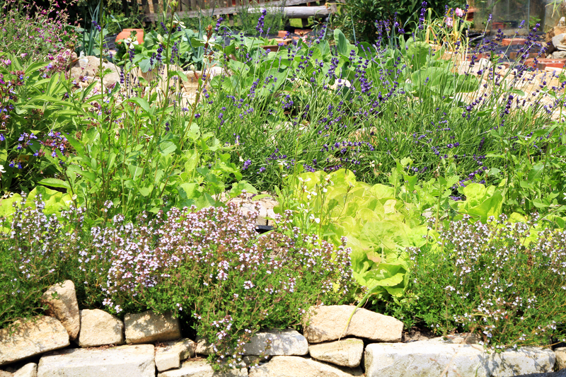 home plants