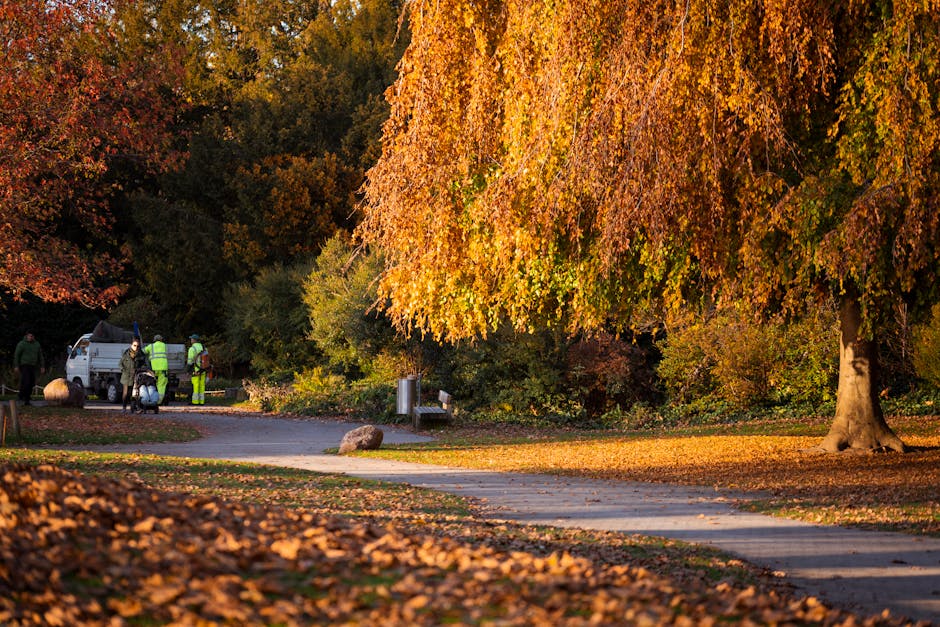 A shaded pathway in a lush green park with tall trees forming a canopy overhead, their branches and leaves creating dappled sunlight on the dirt trail below. Alongside the path, dense grass and foliag
