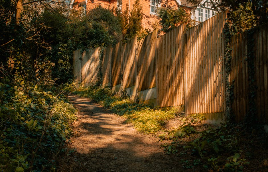 A narrow garden pathway with uneven, slightly muddy soil is bordered by lush green shrubs and small plants on the left side. On the right, a tall wooden fence made of vertical slats casts long, diagon